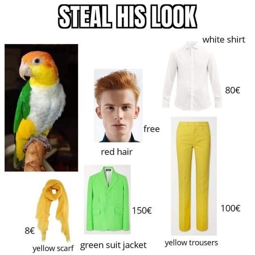 STEAL HIS LOOK white shirt red hair free 150€ 8€ yellow scarf green suit jacket yellow trousers 80€ 100€