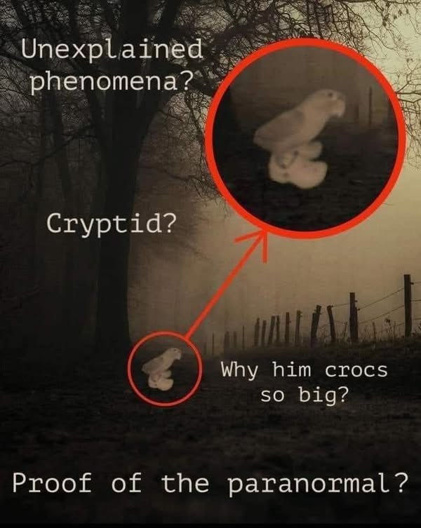 Unexplained phenomena? Cryptid? Why him crocs so big? Proof of the paranormal?