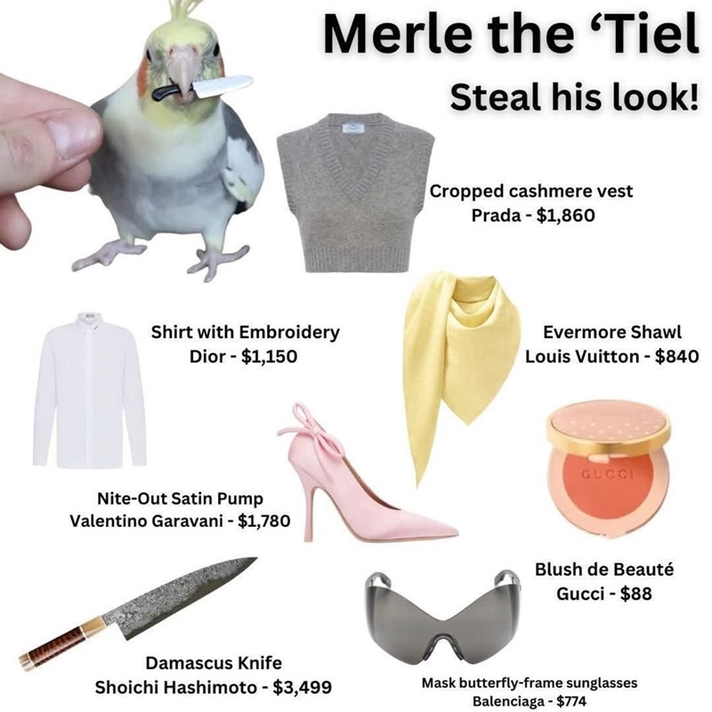 Merle the 'Tiel Steal his look! Cropped cashmere vest Prada - $1,860 Shirt with Embroidery Dior - $1,150 Evermore Shawl Louis Vuitton - $840 Nite-Out Satin Pump Valentino Garavani - $1,780 GUCCI Blush de Beauté Gucci - $88 Damascus Knife Shoichi Hashimoto - $3,499 Mask butterfly-frame sunglasses Balenciaga - $774