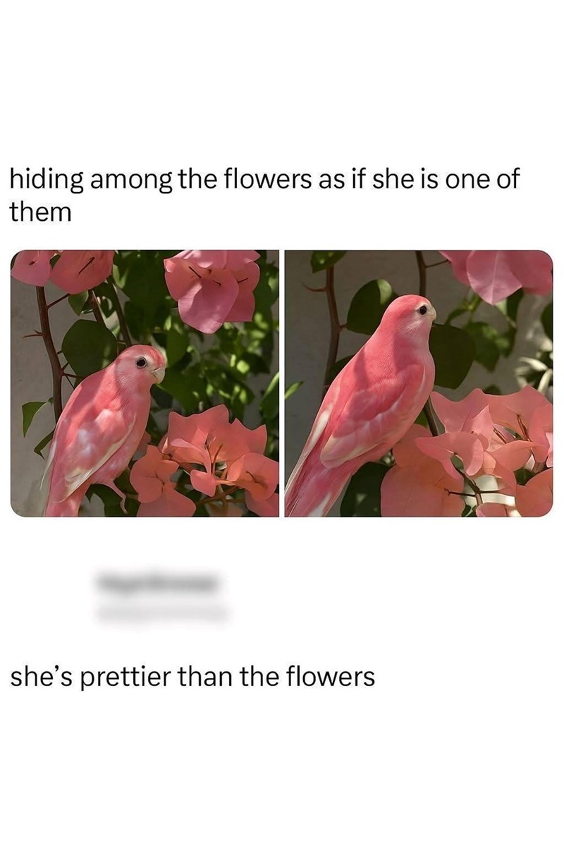 hiding among the flowers as if she is one of them she's prettier than the flowers
