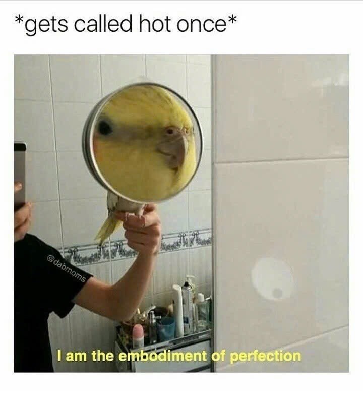 *gets called hot once* @dabmoms I am the embodiment of perfection