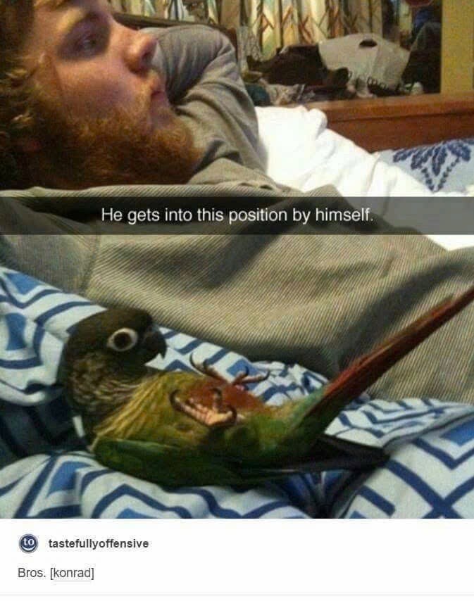 He gets into this position by himself. to tastefully offensive Bros. [konrad]