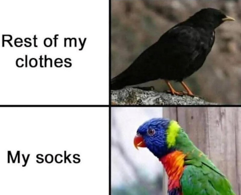 Rest of my clothes My socks