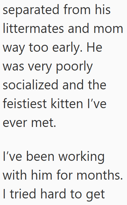 separated from his littermates and mom way too early. He was very poorly socialized and the feistiest kitten I've ever met. I've been working with him for months. I tried hard to get
