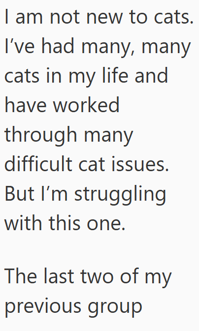 I am not new to cats. I've had many, many cats in my life and have worked through many difficult cat issues. But I'm struggling with this one. The last two of my previous group