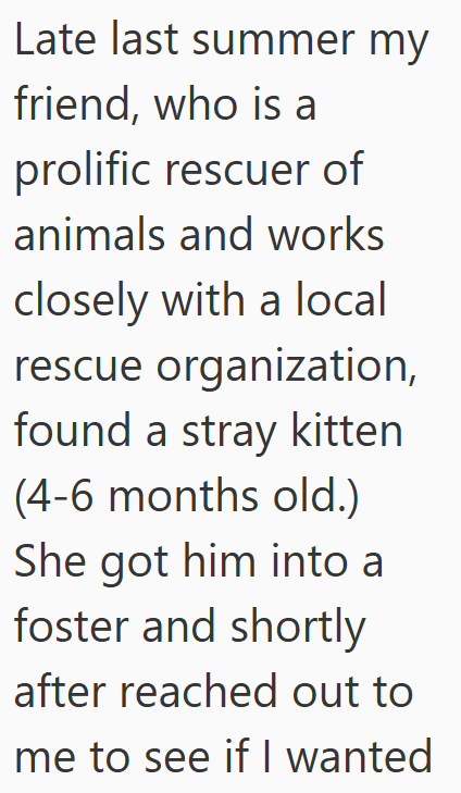Late last summer my friend, who is a prolific rescuer of animals and works closely with a local rescue organization, found a stray kitten (4-6 months old.) She got him into a foster and shortly after reached out to me to see if I wanted