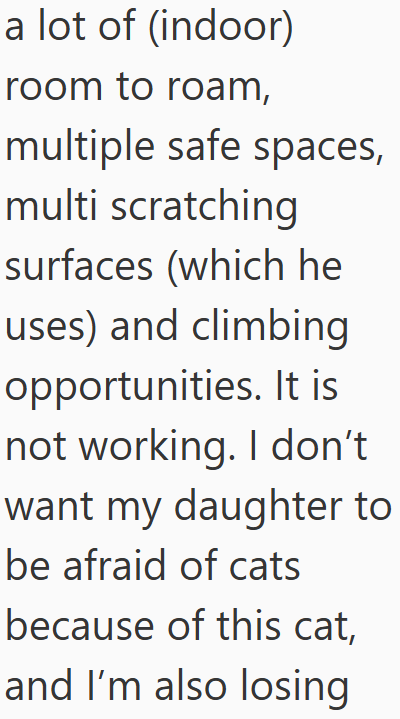 a lot of (indoor) room to roam, multiple safe spaces, multi scratching surfaces (which he uses) and climbing opportunities. It is not working. I don't want my daughter to be afraid of cats because of this cat, and I'm also losing