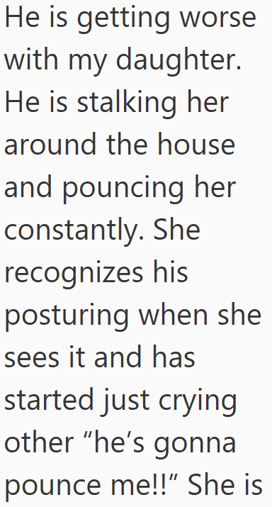 He is getting worse with my daughter. He is stalking her around the house and pouncing her constantly. She recognizes his posturing when she sees it and has started just crying other "he's gonna pounce me!!" She is