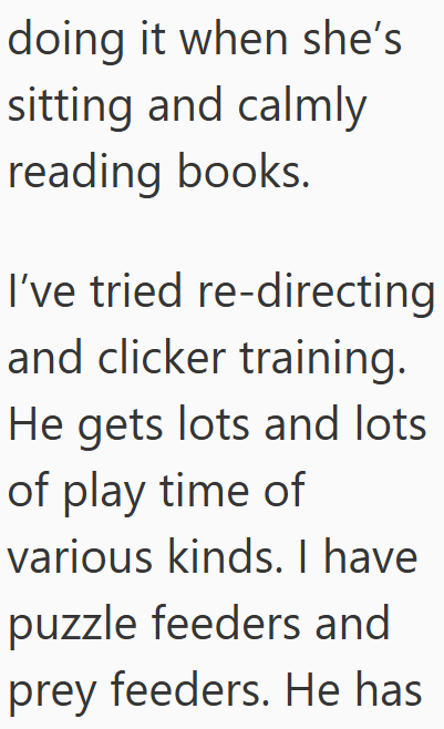 doing it when she's sitting and calmly reading books. I've tried re-directing and clicker training. He gets lots and lots of play time of various kinds. I have puzzle feeders and prey feeders. He has