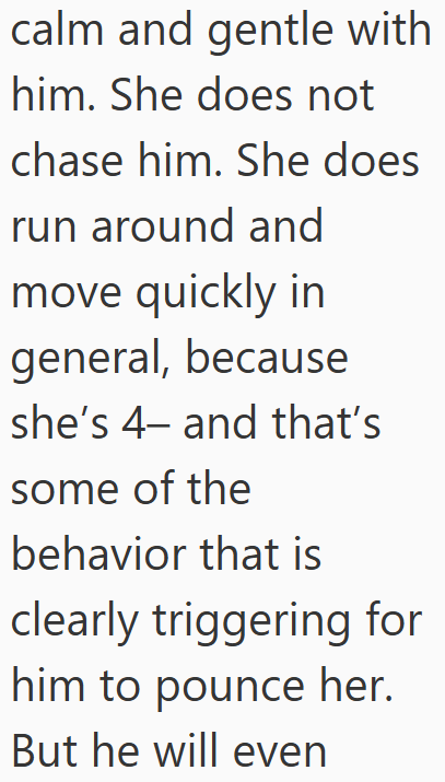 calm and gentle with him. She does not chase him. She does run around and move quickly in general, because she's 4- and that's some of the behavior that is clearly triggering for him to pounce her. But he will even