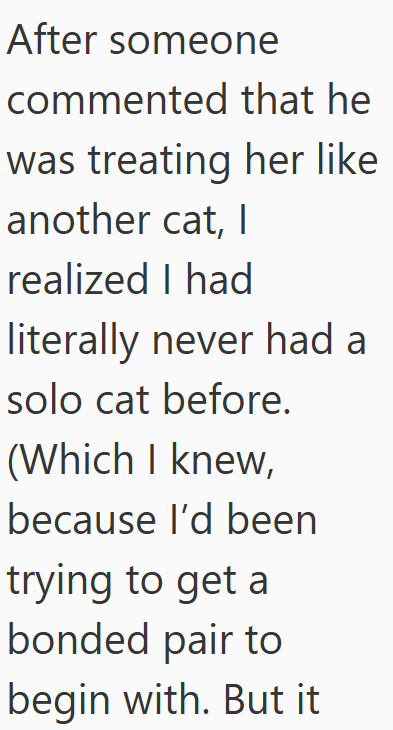 After someone commented that he was treating her like another cat, I realized I had literally never had a solo cat before. (Which I knew, because I'd been trying to get a bonded pair to begin with. But it