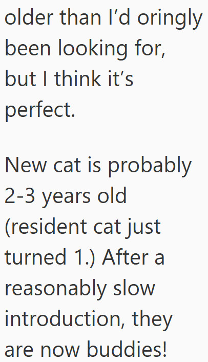 older than I'd oringly been looking for, but I think it's perfect. New cat is probably 2-3 years old (resident cat just turned 1.) After a reasonably slow introduction, they are now buddies!