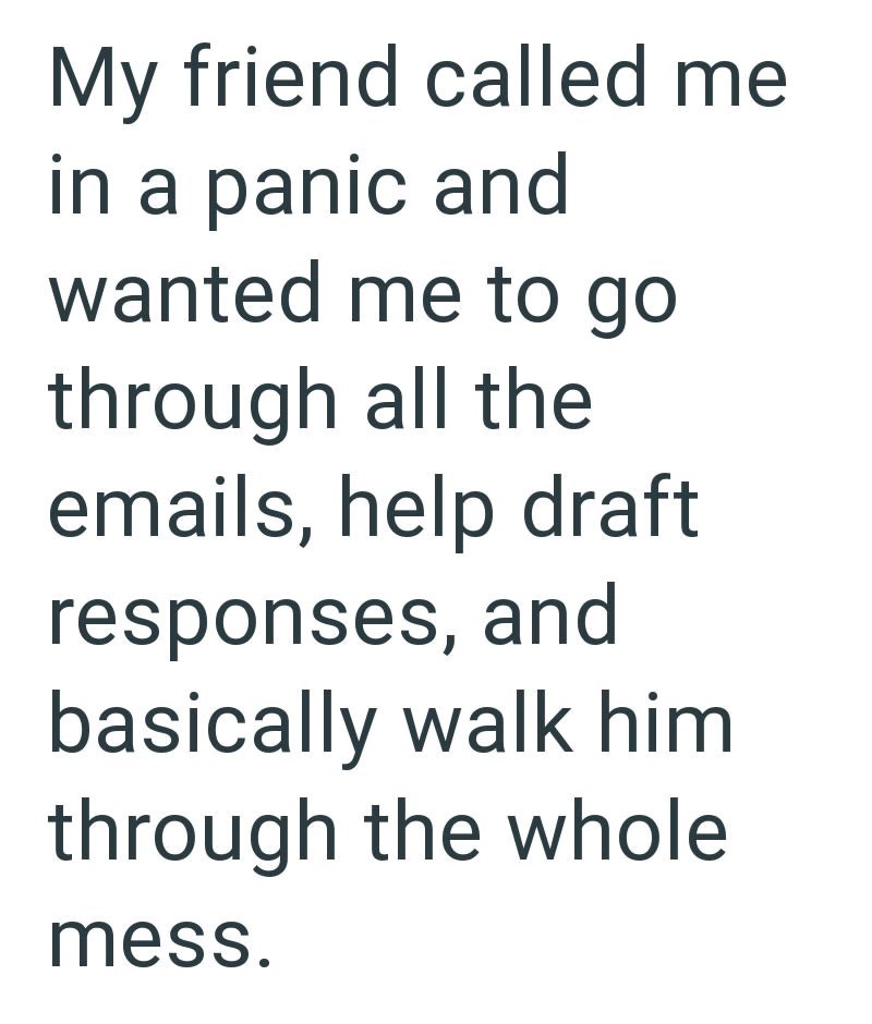 My friend called me in a panic and wanted me to go through all the emails, help draft responses, and basically walk him through the whole mess.