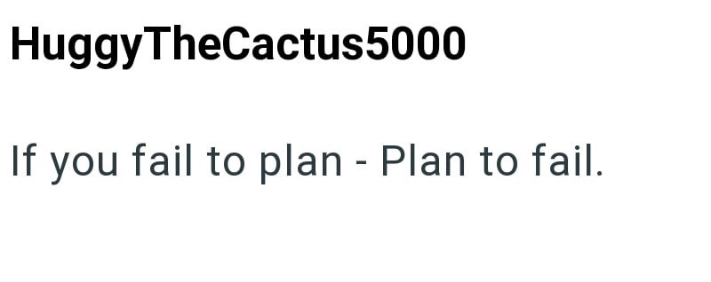 HuggyTheCactus5000 If you fail to plan - Plan to fail.