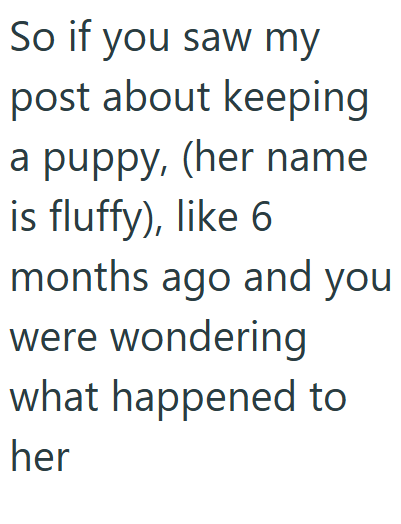 So if you saw my post about keeping a puppy, (her name is fluffy), like 6 months ago and you were wondering what happened to her