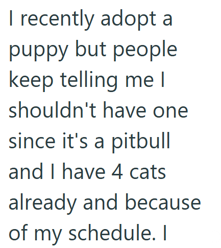 I recently adopt a puppy but people keep telling me I shouldn't have one since it's a pitbull and I have 4 cats already and because of my schedule. I
