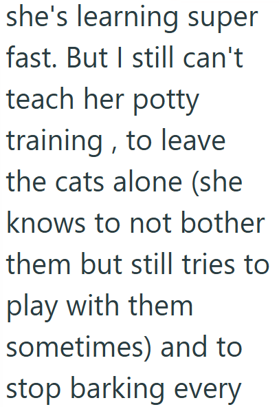 she's learning super fast. But I still can't teach her potty training, to leave the cats alone (she knows to not bother them but still tries to play with them sometimes) and to stop barking every