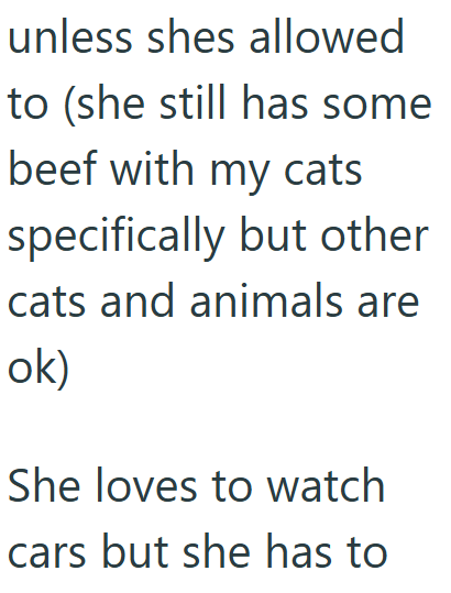 unless shes allowed to (she still has some beef with my cats specifically but other cats and animals are ok) She loves to watch cars but she has to