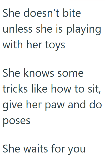 She doesn't bite unless she is playing with her toys She knows some tricks like how to sit, give her paw and do poses She waits for you