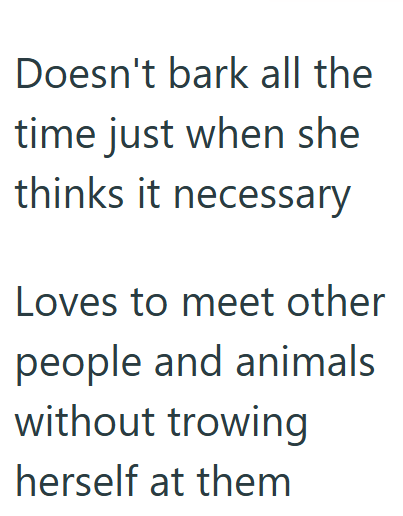 Doesn't bark all the time just when she thinks it necessary Loves to meet other people and animals without trowing herself at them