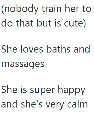(nobody train her to do that but is cute) She loves baths and massages She is super happy and she's very calm