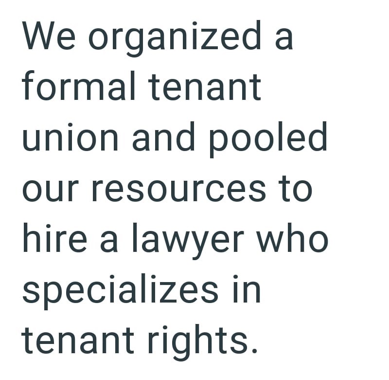 We organized a formal tenant union and pooled our resources to hire a lawyer who specializes in tenant rights.