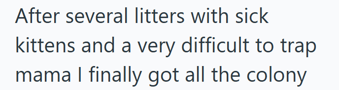 After several litters with sick kittens and a very difficult to trap mama I finally got all the colony