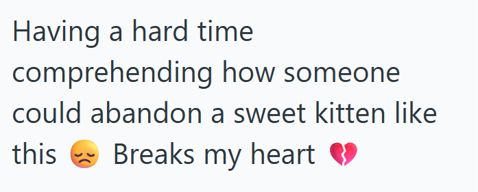 Having a hard time comprehending how someone could abandon a sweet kitten like this Breaks my heart ❤