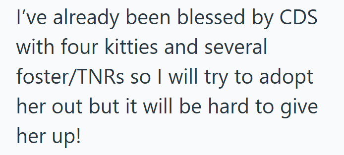 I've already been blessed by CDS with four kitties and several foster/TNRs so I will try to adopt her out but it will be hard to give her up!