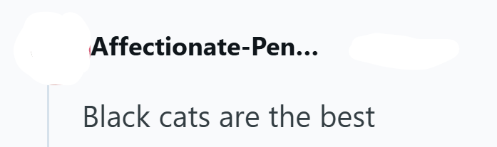 Affectionate-Pen... Black cats are the best