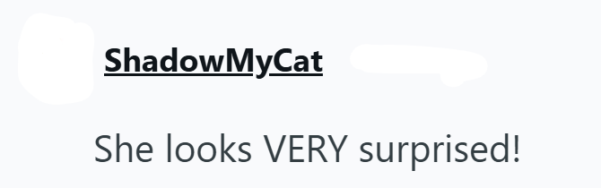 ShadowMyCat She looks VERY surprised!