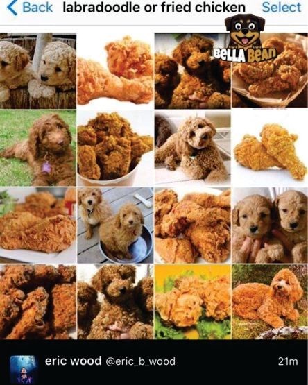 Back labradoodle or fried chicken Select BELLA BEAD eric wood @eric_b_wood 21m