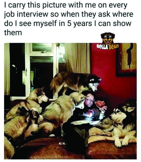 I carry this picture with me on every job interview so when they ask where do I see myself in 5 years I can show them BELLA BEAD