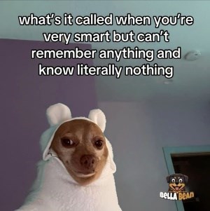what's it called when you're very smart but can't remember anything and know literally nothing BELLA BEAD