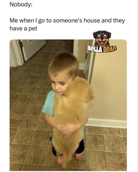 Nobody: Me when I go to someone's house and they have a pet BELLA BEAD