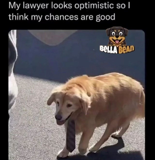 My lawyer looks optimistic so I think my chances are good BELLA BEAD