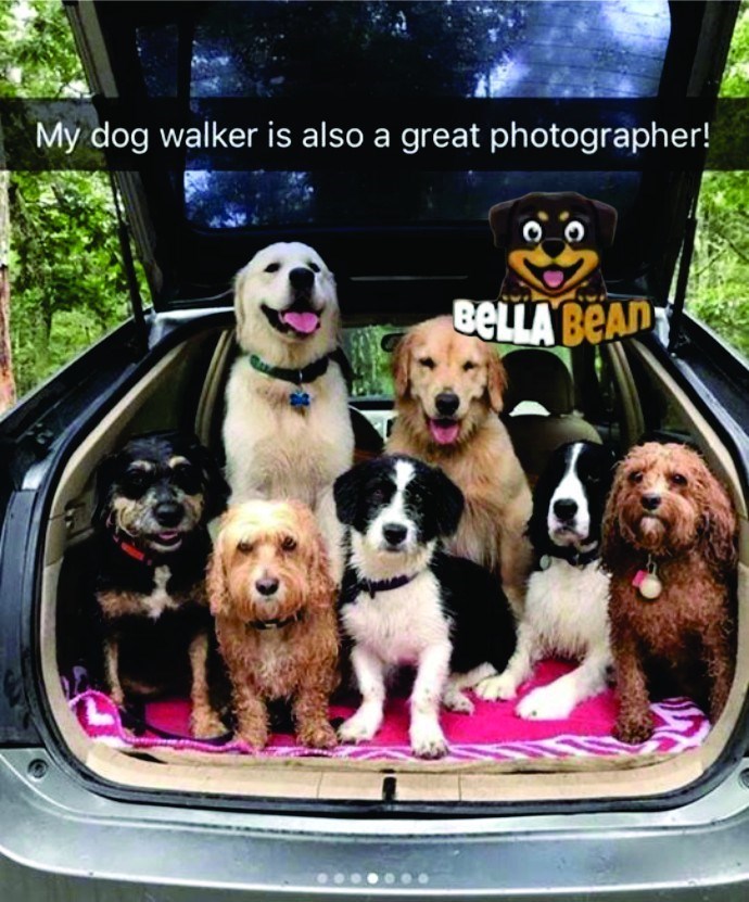 My dog walker is also a great photographer! BELLA BEAD