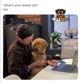 "what's your dream job" me: BELLA BEAD