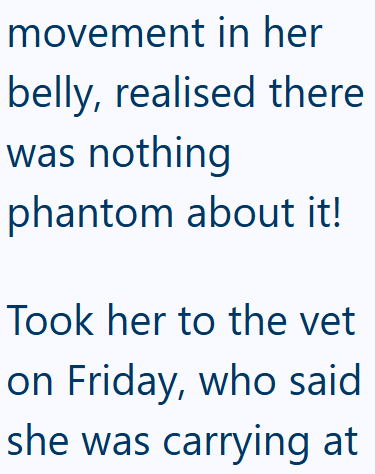 movement in her belly, realised there was nothing phantom about it! Took her to the vet on Friday, who said she was carrying at
