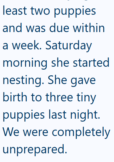 least two puppies and was due within a week. Saturday morning she started nesting. She gave birth to three tiny puppies last night. We were completely unprepared.