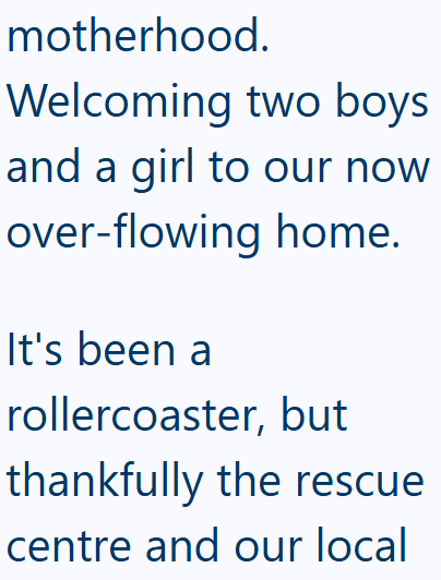 motherhood. Welcoming two boys and a girl to our now over-flowing home. It's been a rollercoaster, but thankfully the rescue centre and our local
