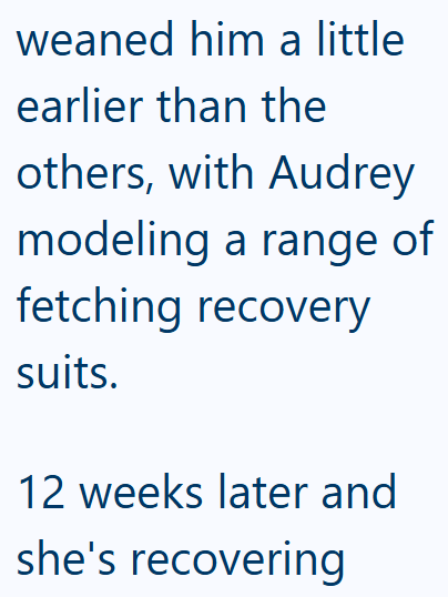 weaned him a little earlier than the others, with Audrey modeling a range of fetching recovery suits. 12 weeks later and she's recovering