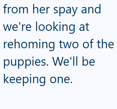 from her spay and we're looking at rehoming two of the puppies. We'll be keeping one.