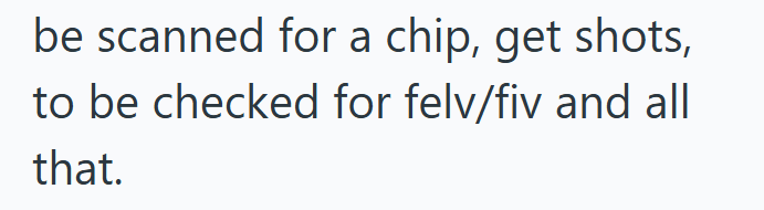 be scanned for a chip, get shots, to be checked for felv/fiv and all that.