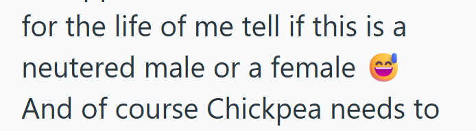 for the life of me tell if this is a neutered male or a female And of course Chickpea needs to