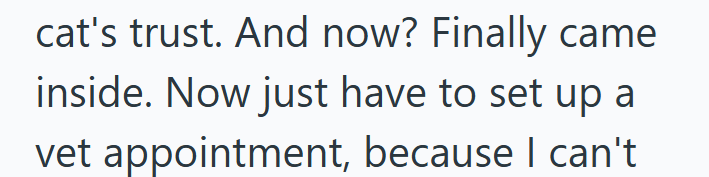 cat's trust. And now? Finally came inside. Now just have to set up a vet appointment, because I can't