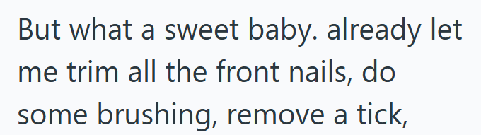 But what a sweet baby. already let me trim all the front nails, do some brushing, remove a tick,