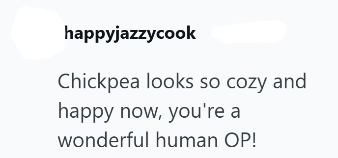 happyjazzycook Chickpea looks so cozy and happy now, you're a wonderful human OP!