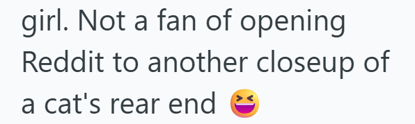 girl. Not a fan of opening Reddit to another closeup of a cat's rear end