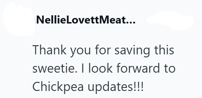 NellieLovettMeat... Thank you for saving this sweetie. I look forward to Chickpea updates!!!